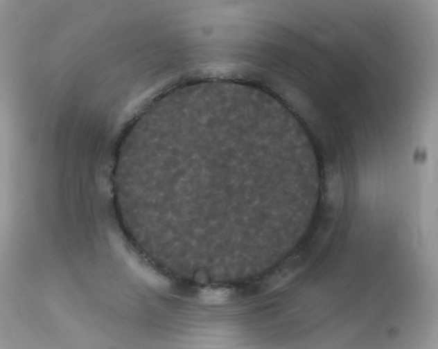 X0000113080450200909182053