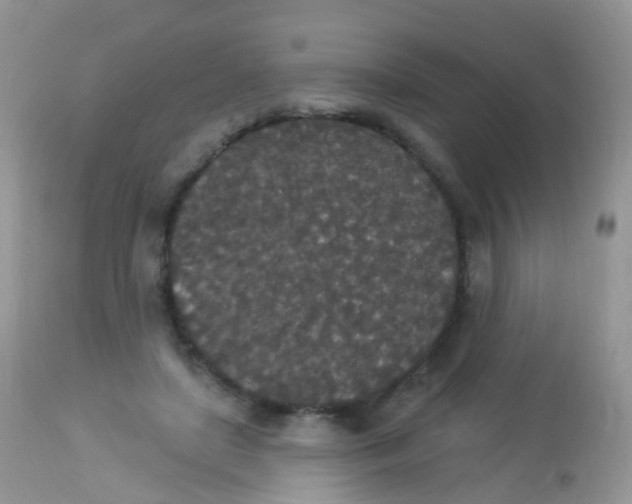 X0000113080451200909182053