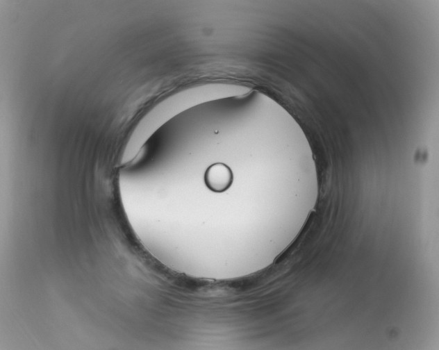 X0000113080452200909182053