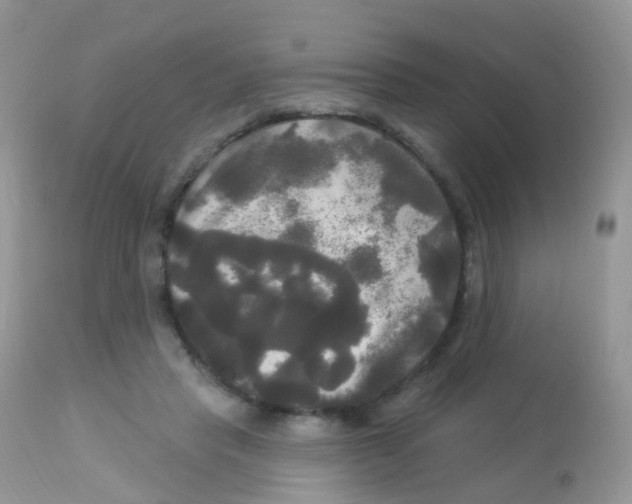 X0000113080453200909182053