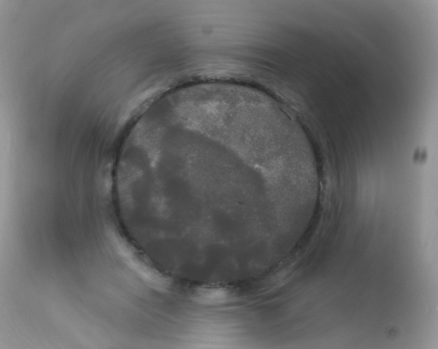 X0000113080454200909182053