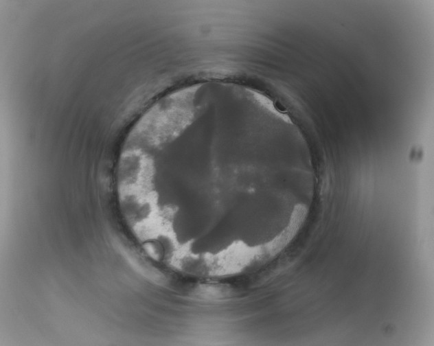 X0000113080455200909182053