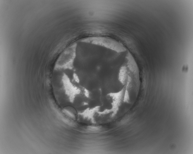 X0000113080457200909182053