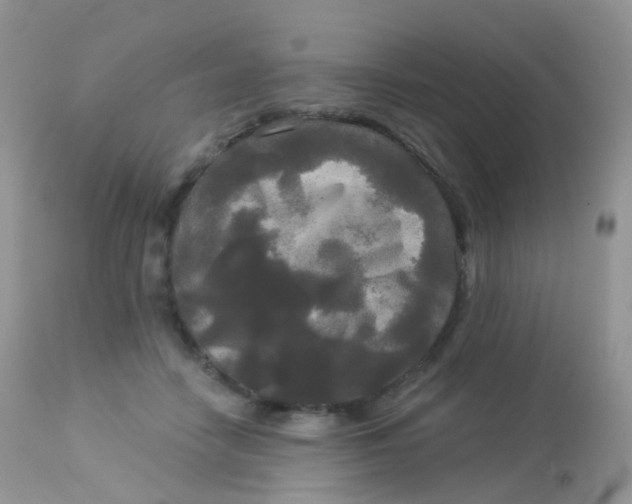 X0000113080458200909182053