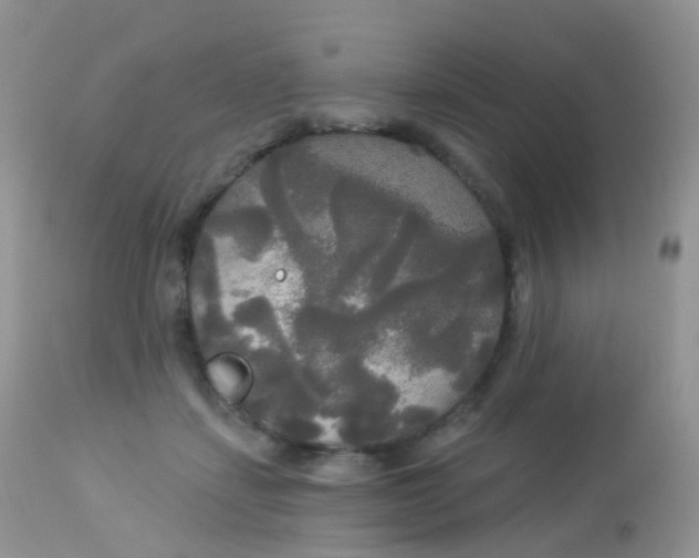 X0000113080459200909182053