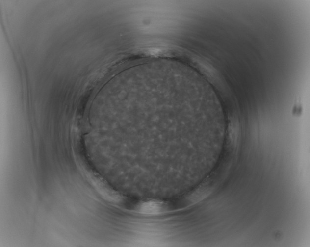 X0000113080461200909182053