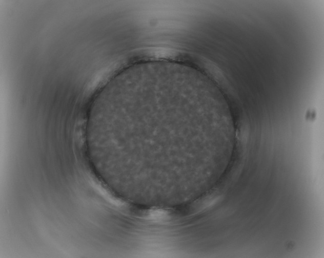 X0000113080462200909182053