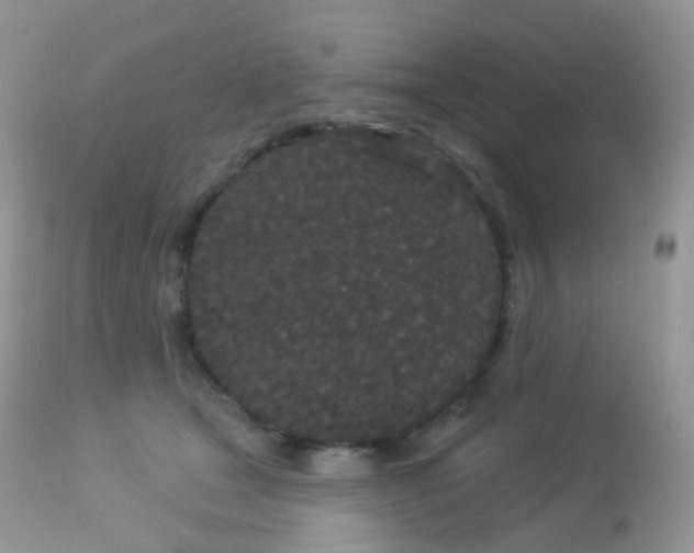 X0000113080465200909182053