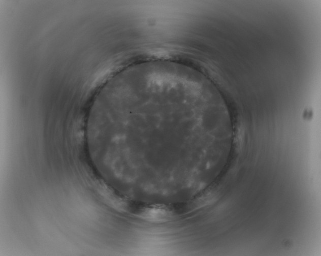 X0000113080466200909182053