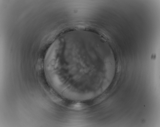 X0000113080467200909182053