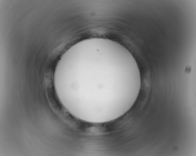 X0000113080468200909182053