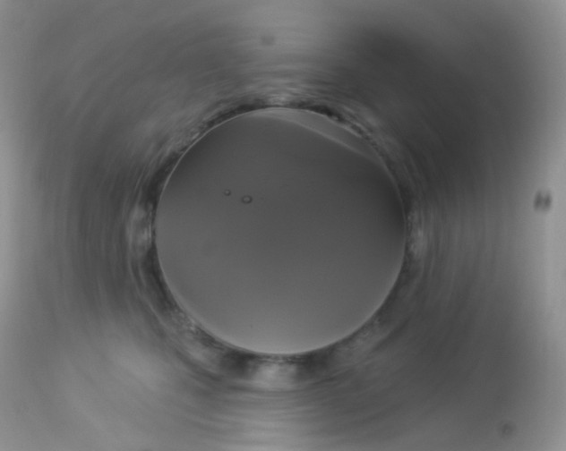 X0000113080471200909182053