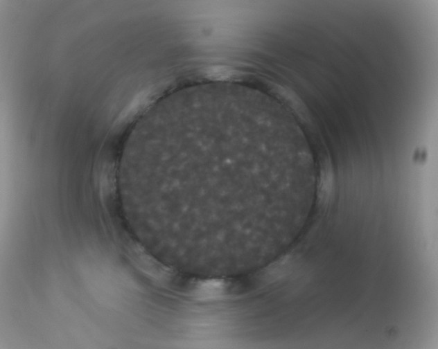 X0000113080473200909182053