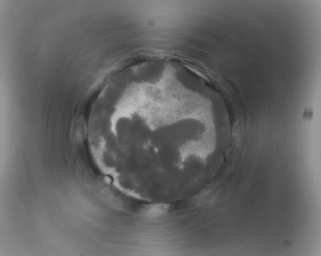 X0000113080474200909182053