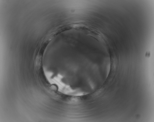 X0000113080475200909182053