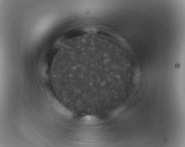 X0000113080477200909182054