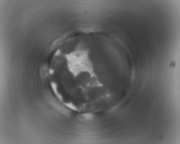 X0000113080478200909182054