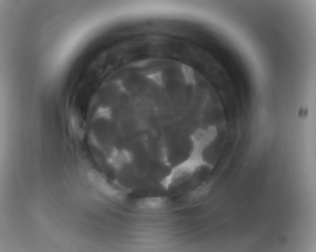 X0000113080479200909182054