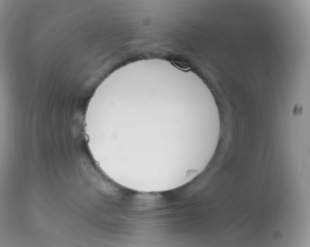X0000113080480200909182054