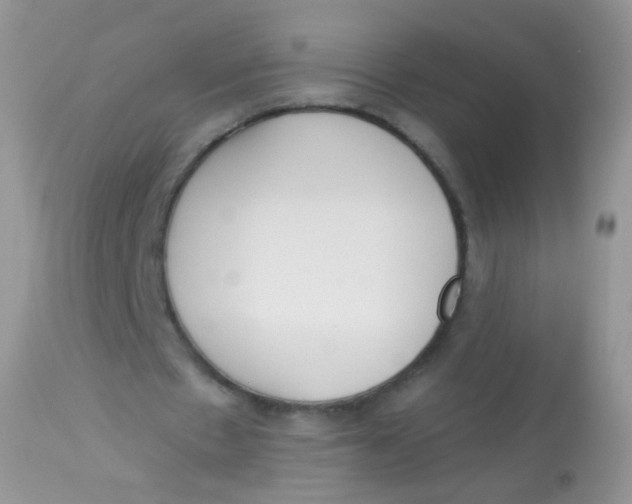 X0000113080481200909182053