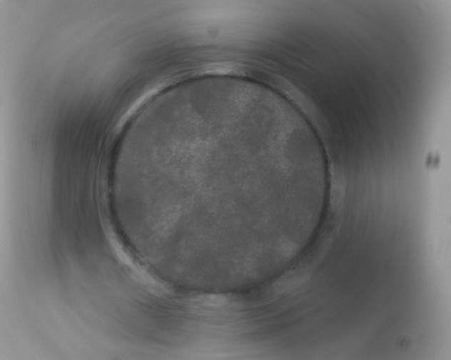 X0000113080482200909182053