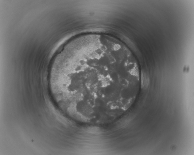 X0000113080483200909182053