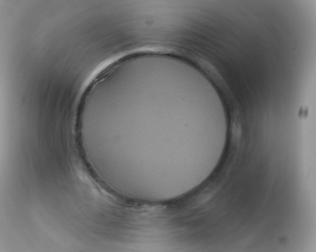 X0000113080484200909182053