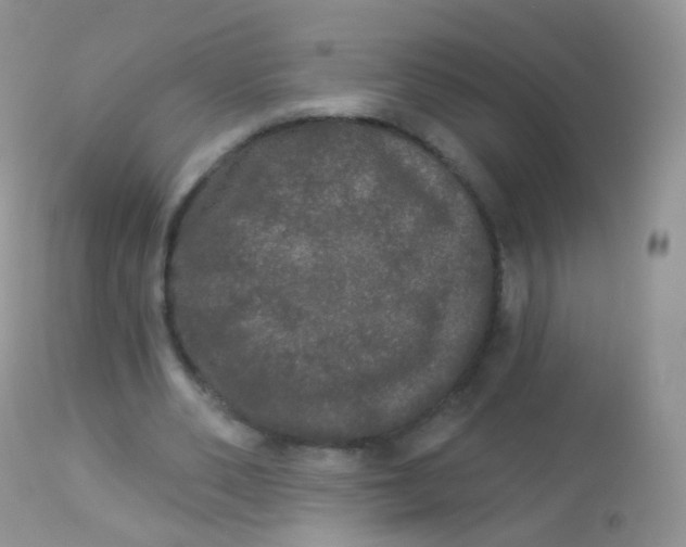 X0000113080486200909182053