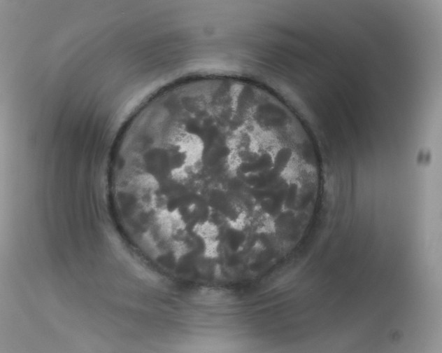 X0000113080487200909182053