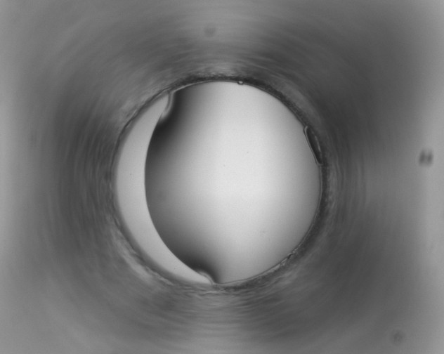 X0000113080489200909182053