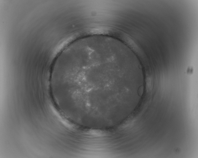 X0000113080490200909182053