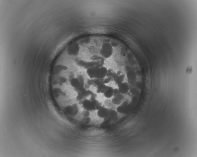 X0000113080491200909182053