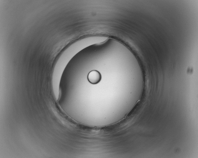 X0000113080493200909182053