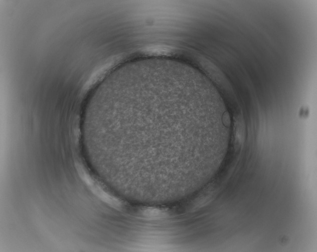 X0000113080494200909182053