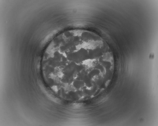 X0000113080495200909182053