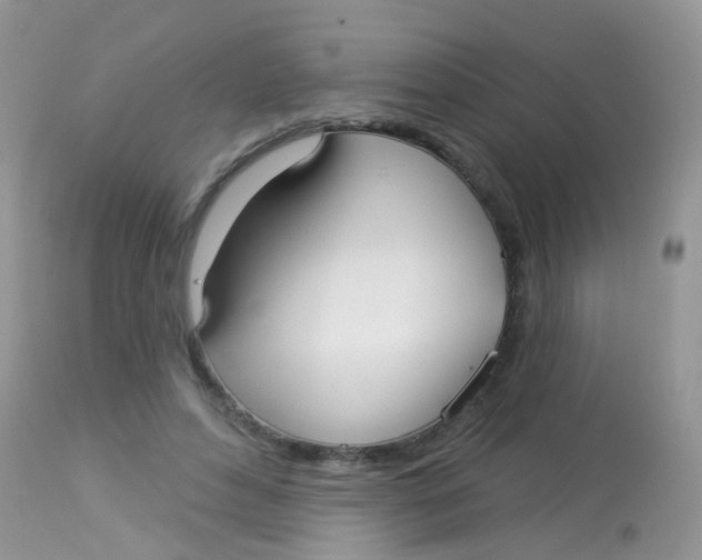 X0000113080496200909182053