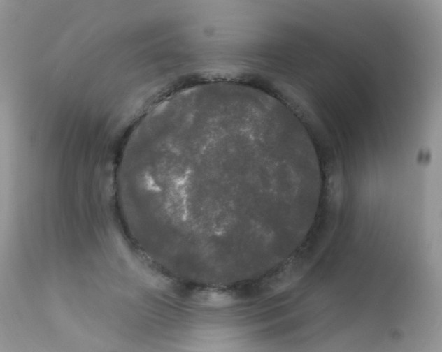 X0000113080498200909182052