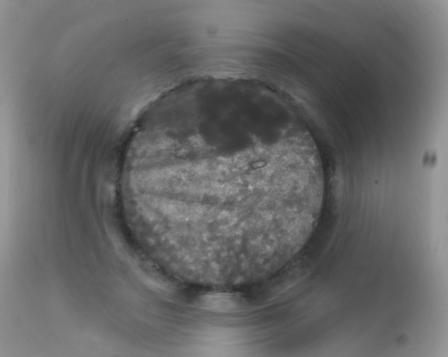 X0000113080499200909182052