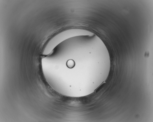 X0000113080500200909182052