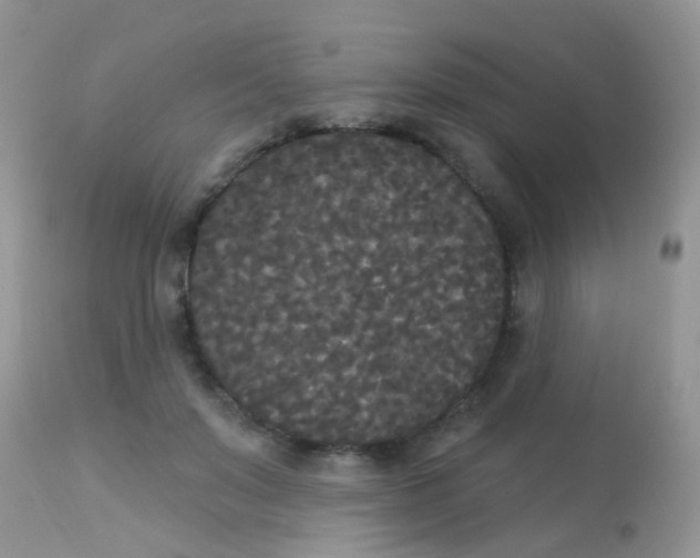X0000113080503200909182052