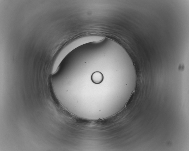 X0000113080504200909182052