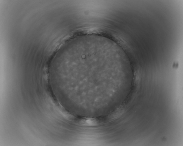 X0000113080506200909182052