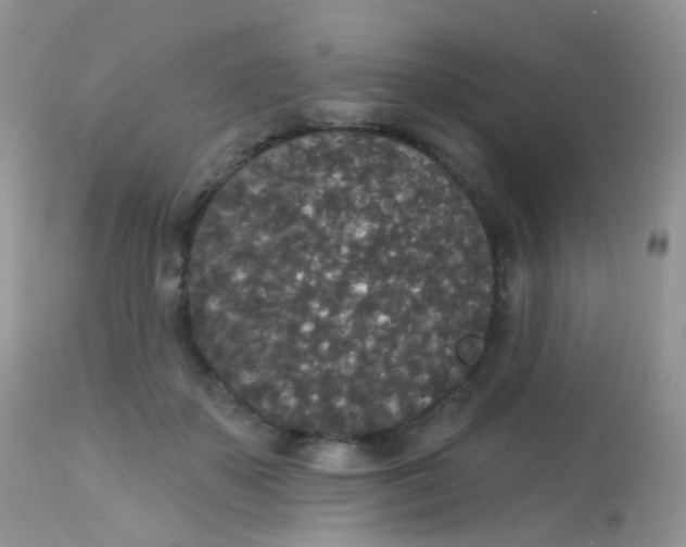 X0000113080507200909182052