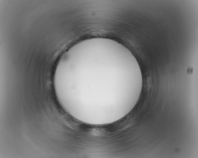 X0000113080508200909182052