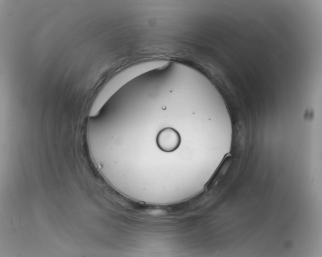 X0000113080509200909182052