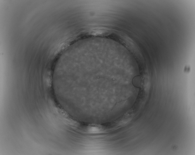 X0000113080510200909182052
