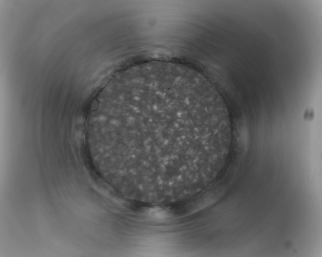 X0000113080511200909182052