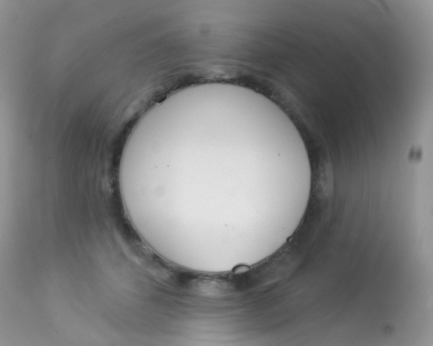 X0000113080512200909182052