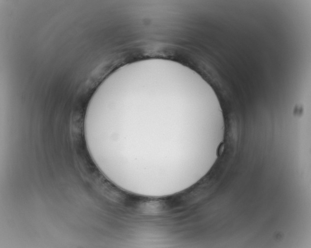 X0000113080513200909182052