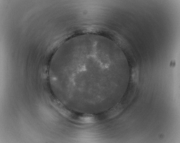X0000113080514200909182052